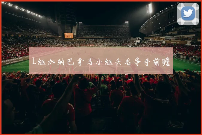 L组加纳巴拿马小组头名争夺前瞻