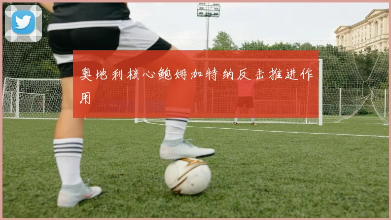 奥地利核心鲍姆加特纳反击推进作用