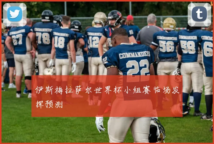 伊斯梅拉萨尔世界杯小组赛临场发挥预测