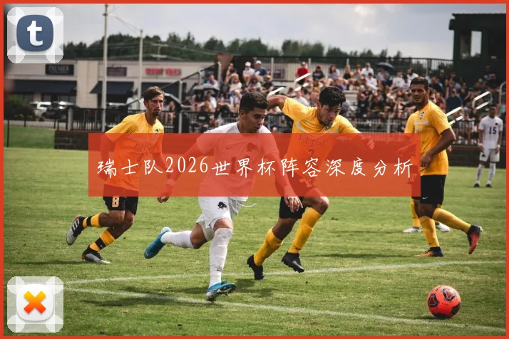 瑞士队2026世界杯阵容深度分析