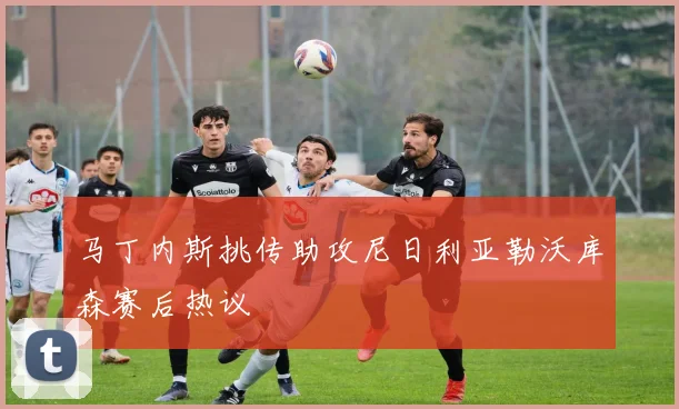 马丁内斯挑传助攻尼日利亚勒沃库森赛后热议