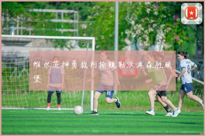 维尔茨神勇裁判抢镜勒沃库森胜狼堡