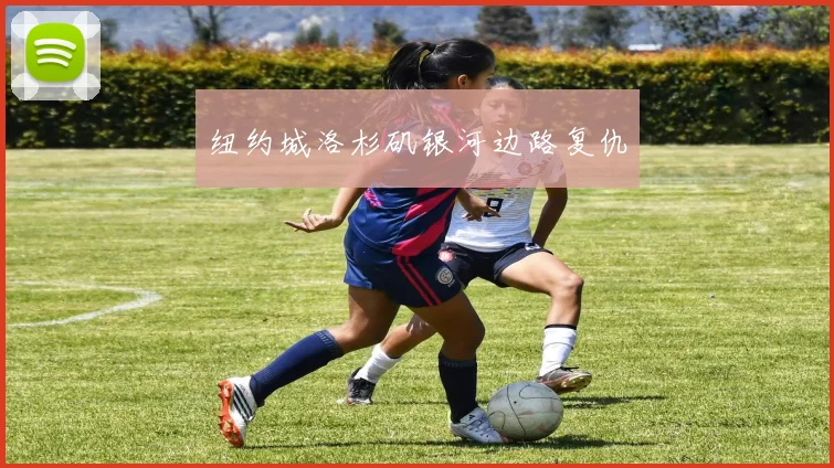 纽约城洛杉矶银河边路复仇