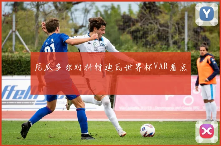 厄瓜多尔对科特迪瓦世界杯VAR看点