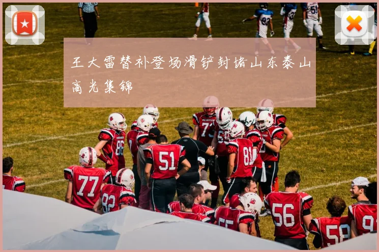 王大雷替补登场滑铲封堵山东泰山高光集锦