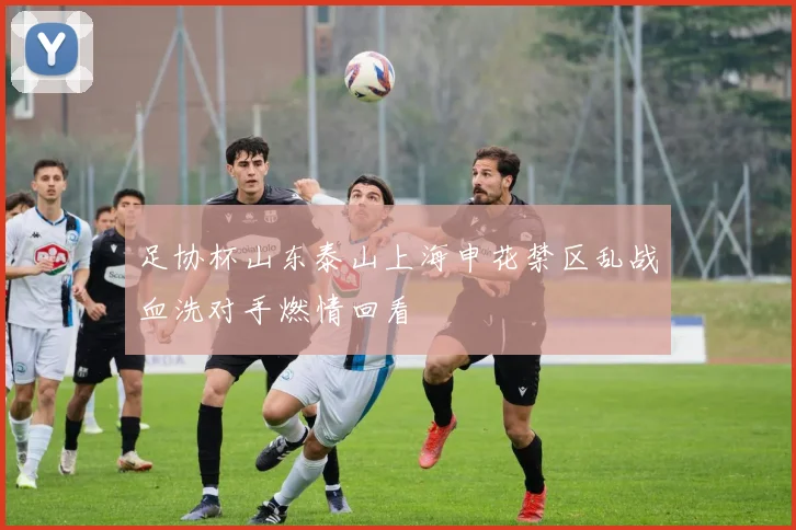 足协杯山东泰山上海申花禁区乱战血洗对手燃情回看