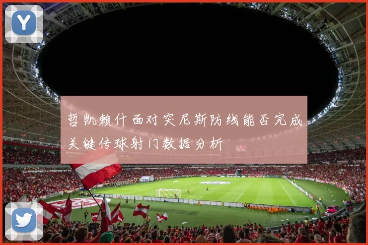 哲凯赖什面对突尼斯防线能否完成关键传球射门数据分析