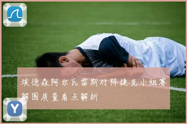 埃德森阿尔瓦雷斯对阵捷克小组赛解围质量看点解析